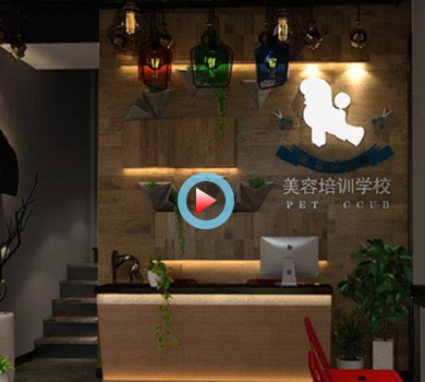 杭州宠物美容培训学校360全景效果图案例展示